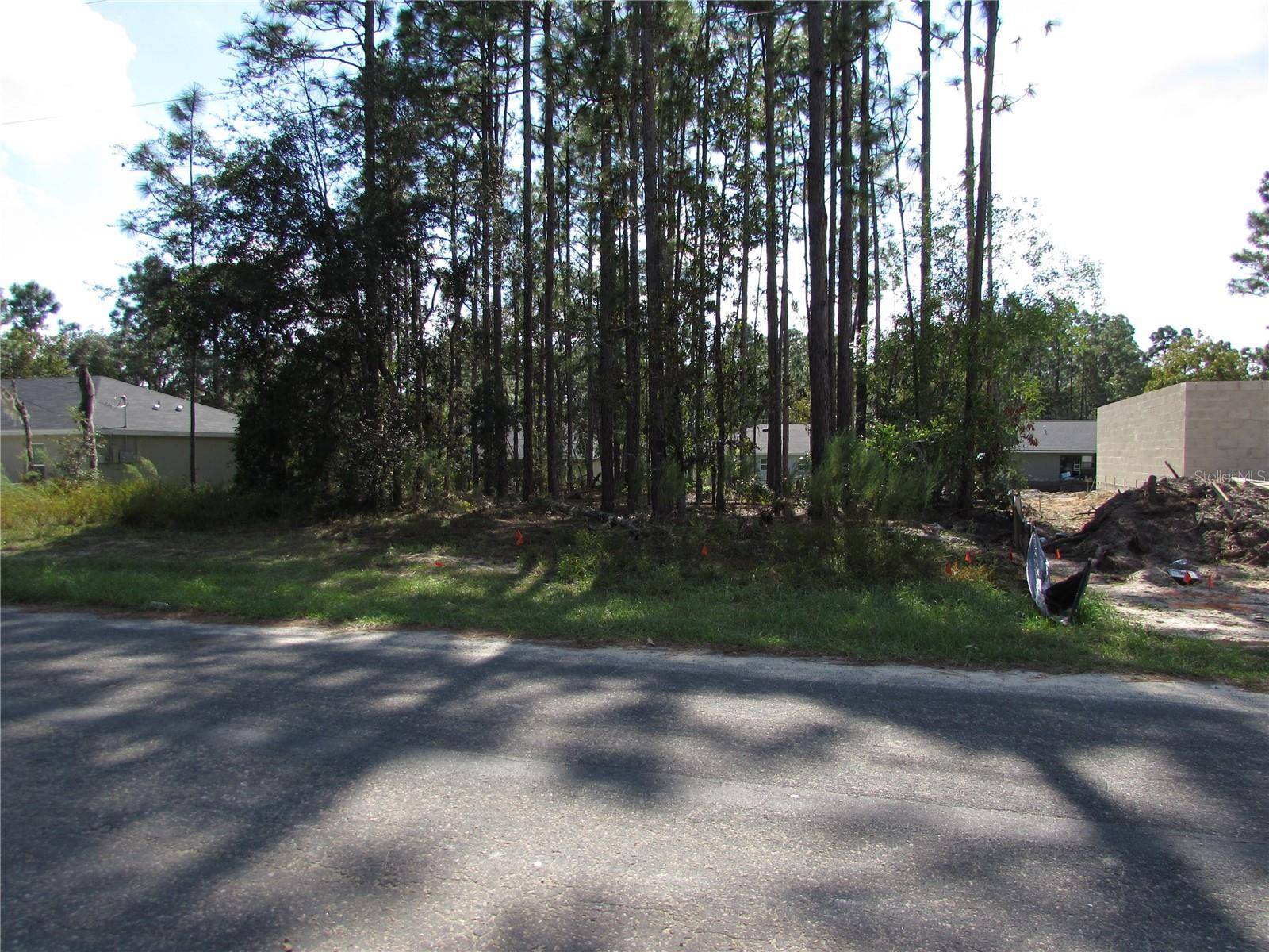 9250 N TRAVIS DR, Citrus Springs, FL 34434
