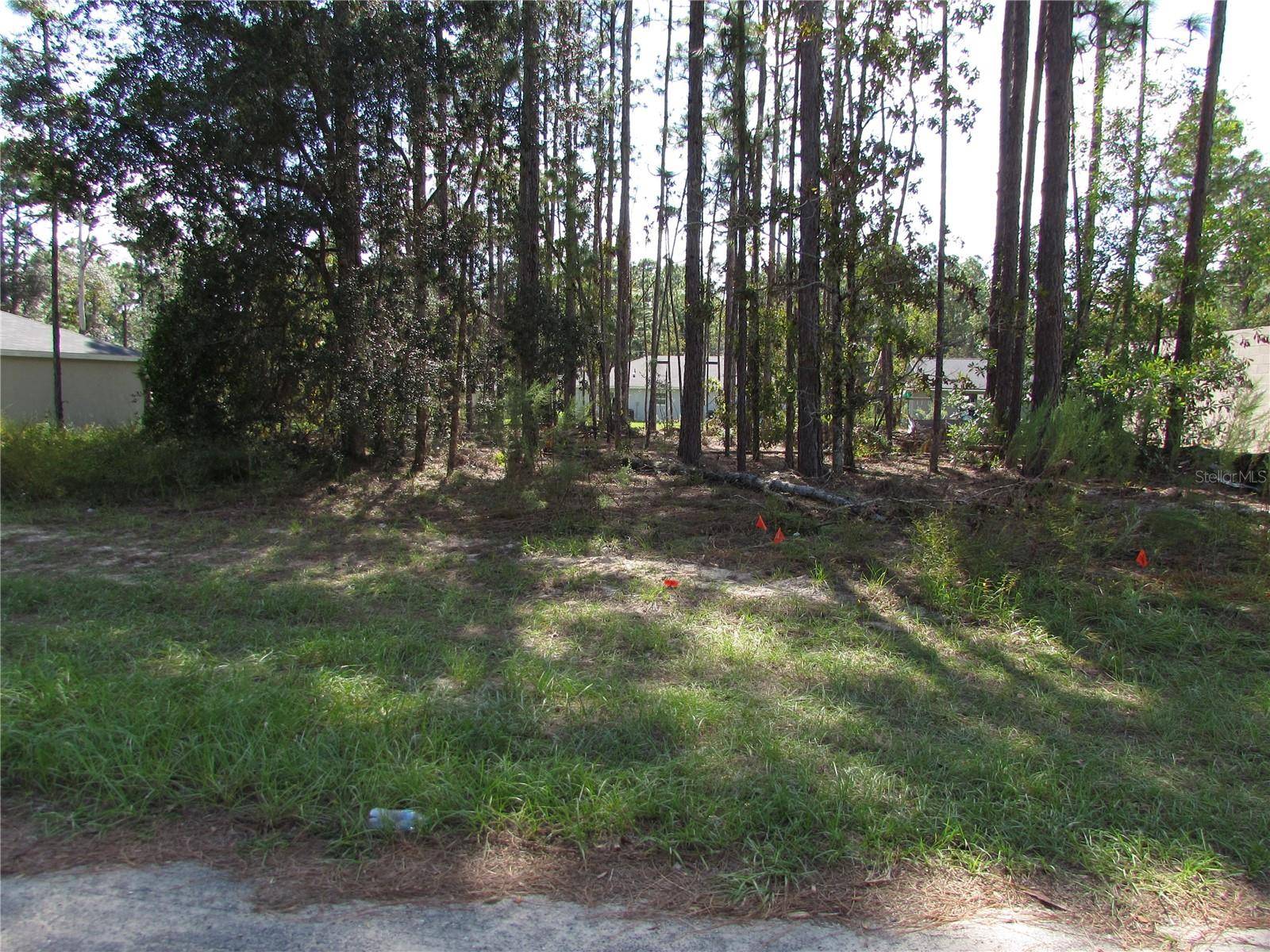9250 N TRAVIS DR, Citrus Springs, FL 34434