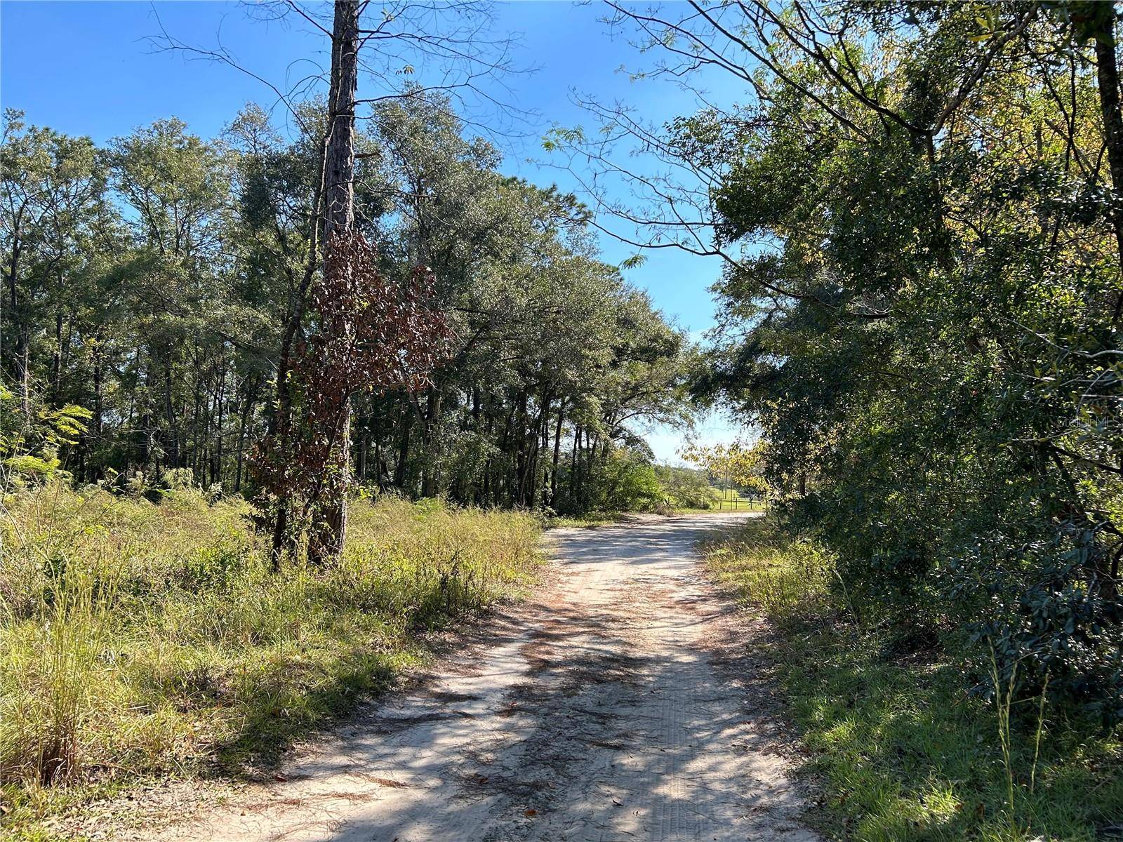 TBD NE 138TH TERR, Williston, FL 32696