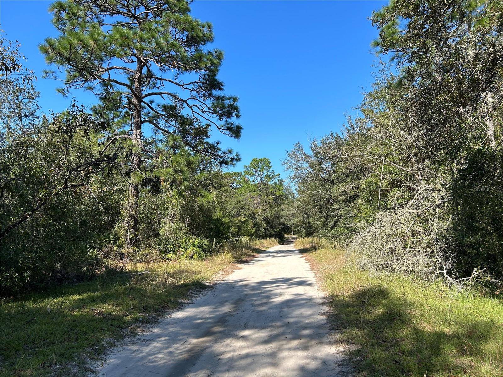 TBD NE 138TH TERR, Williston, FL 32696