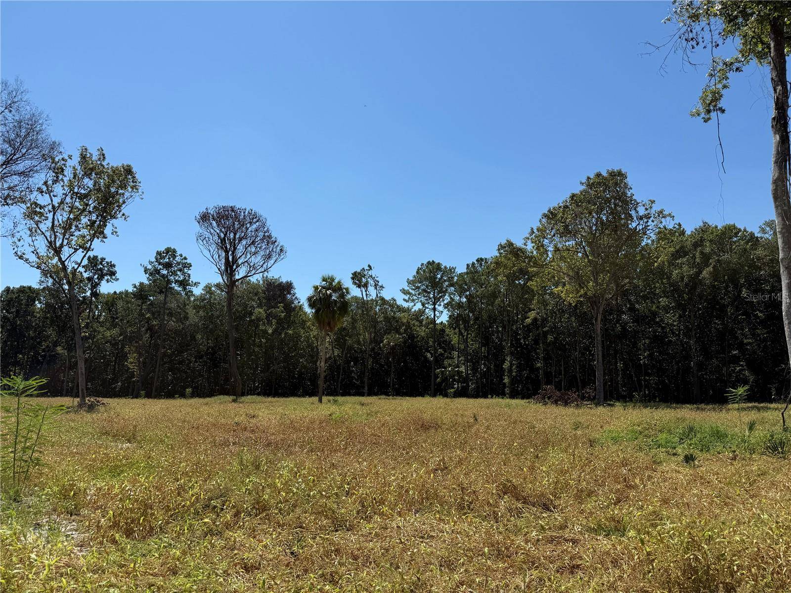62ac NW 193RD ST, Micanopy, FL 32667