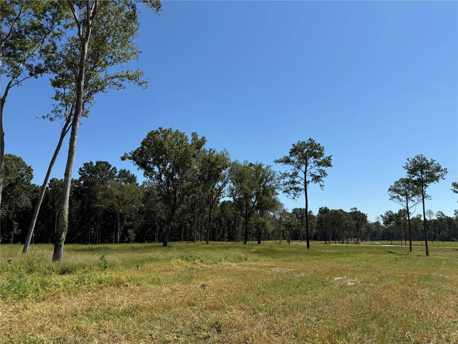 62ac NW 193RD ST, Micanopy, FL 32667