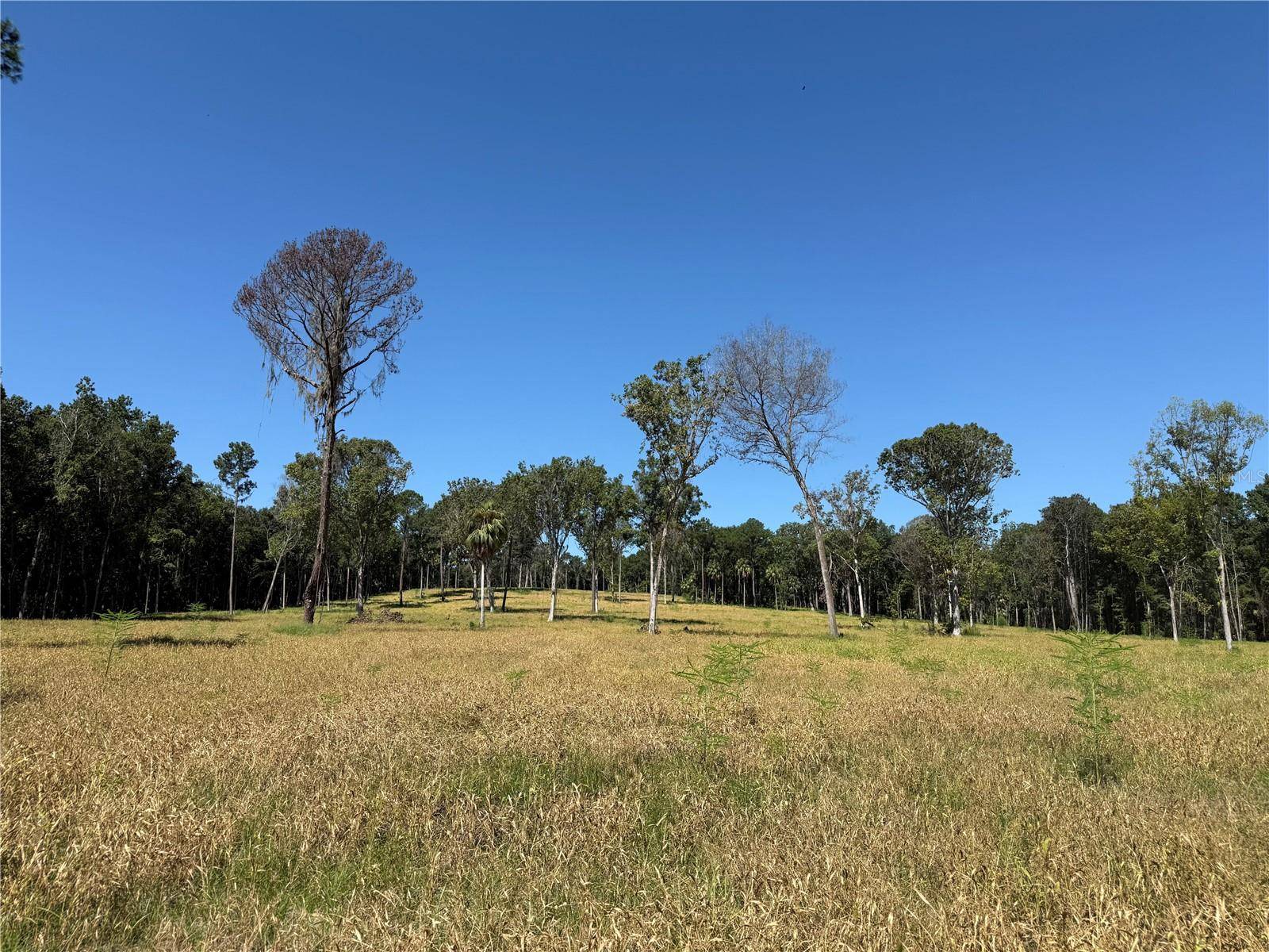 62ac NW 193RD ST, Micanopy, FL 32667