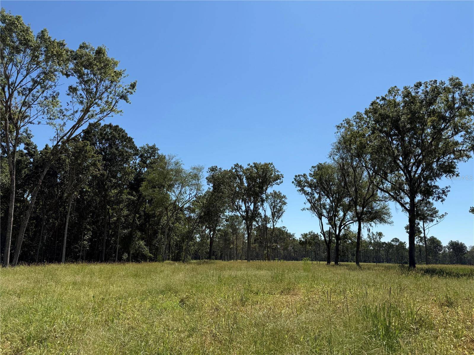 84ac NW 193RD ST, Micanopy, FL 32667