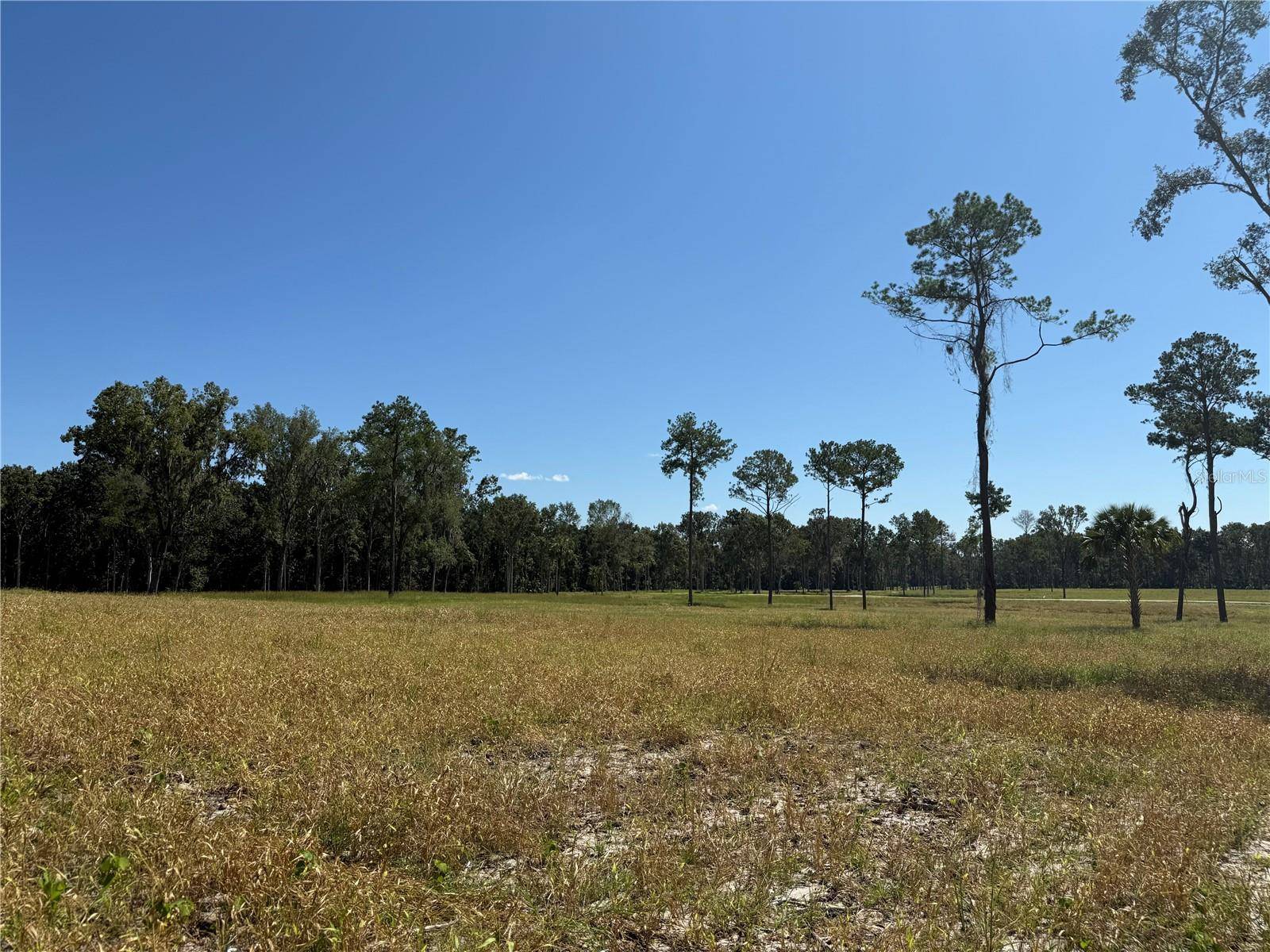 84ac NW 193RD ST, Micanopy, FL 32667