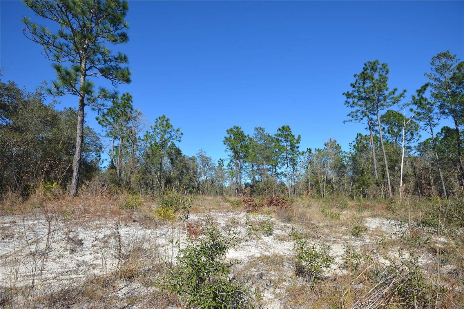 SW 144 PL, Ocala, FL 34473