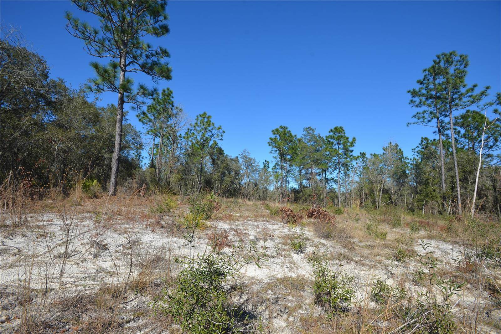 SW 144 PL, Ocala, FL 34473