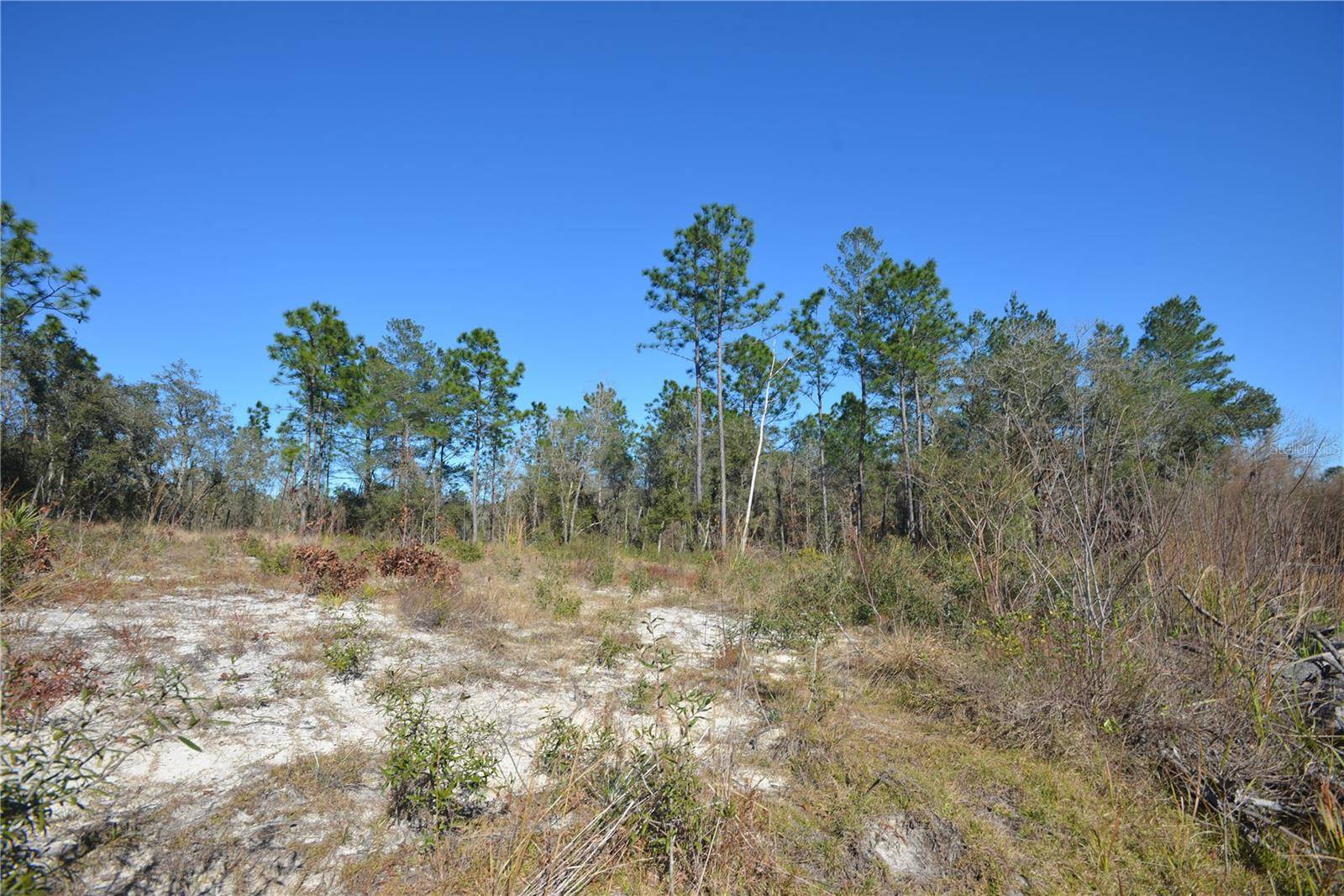 SW 144 PL, Ocala, FL 34473