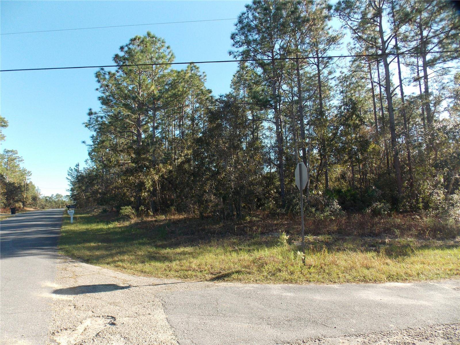 9432 N CHERRY LAKE DR, Citrus Springs, FL 34433