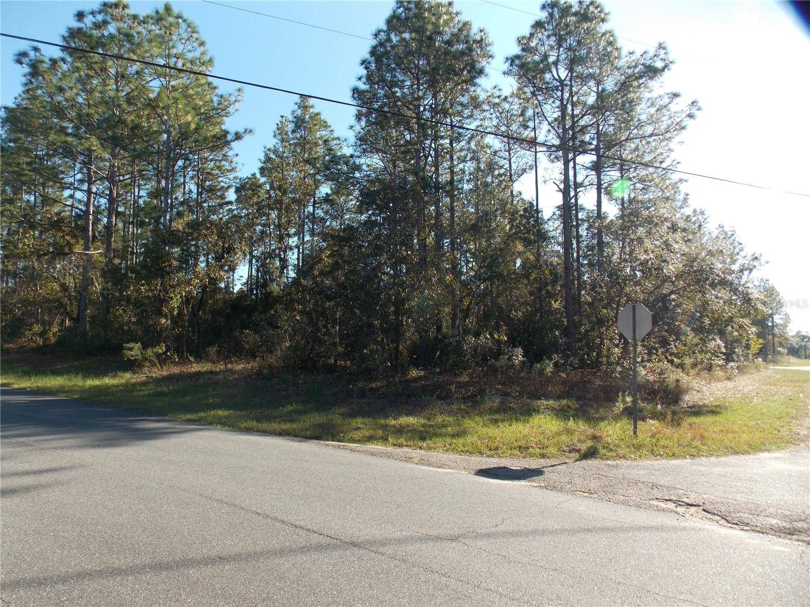 9432 N CHERRY LAKE DR, Citrus Springs, FL 34433