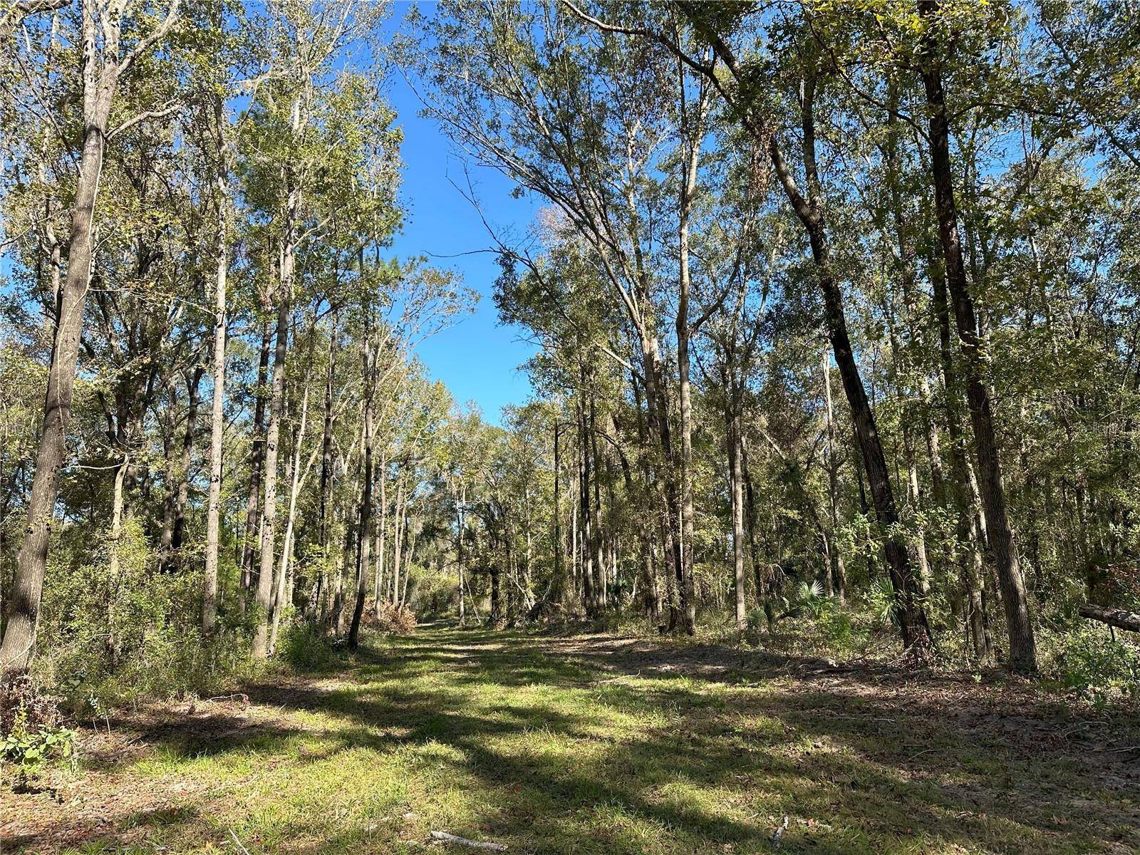 55ac W HWY 318, Reddick, FL 32686