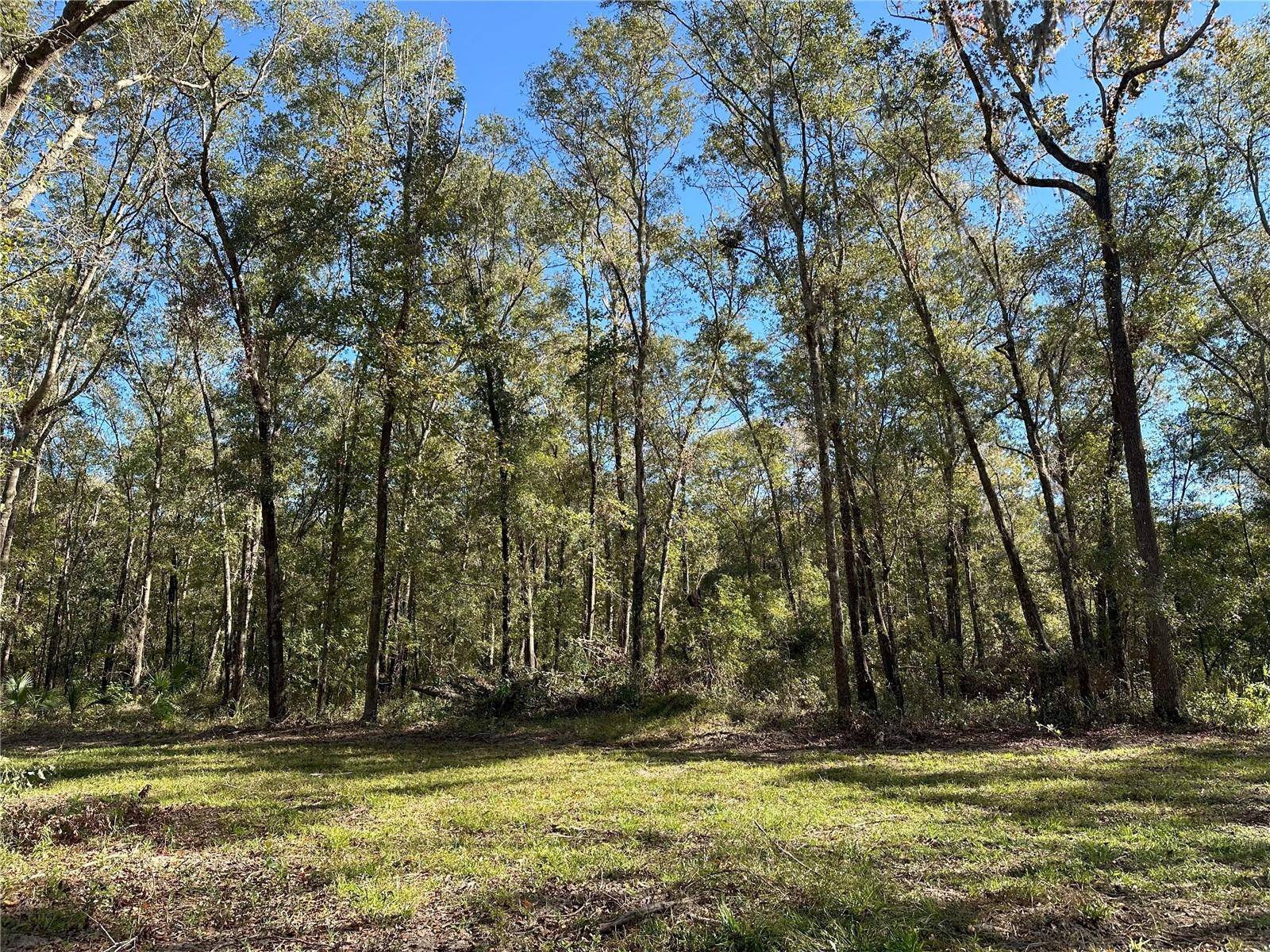 55ac W HWY 318, Reddick, FL 32686