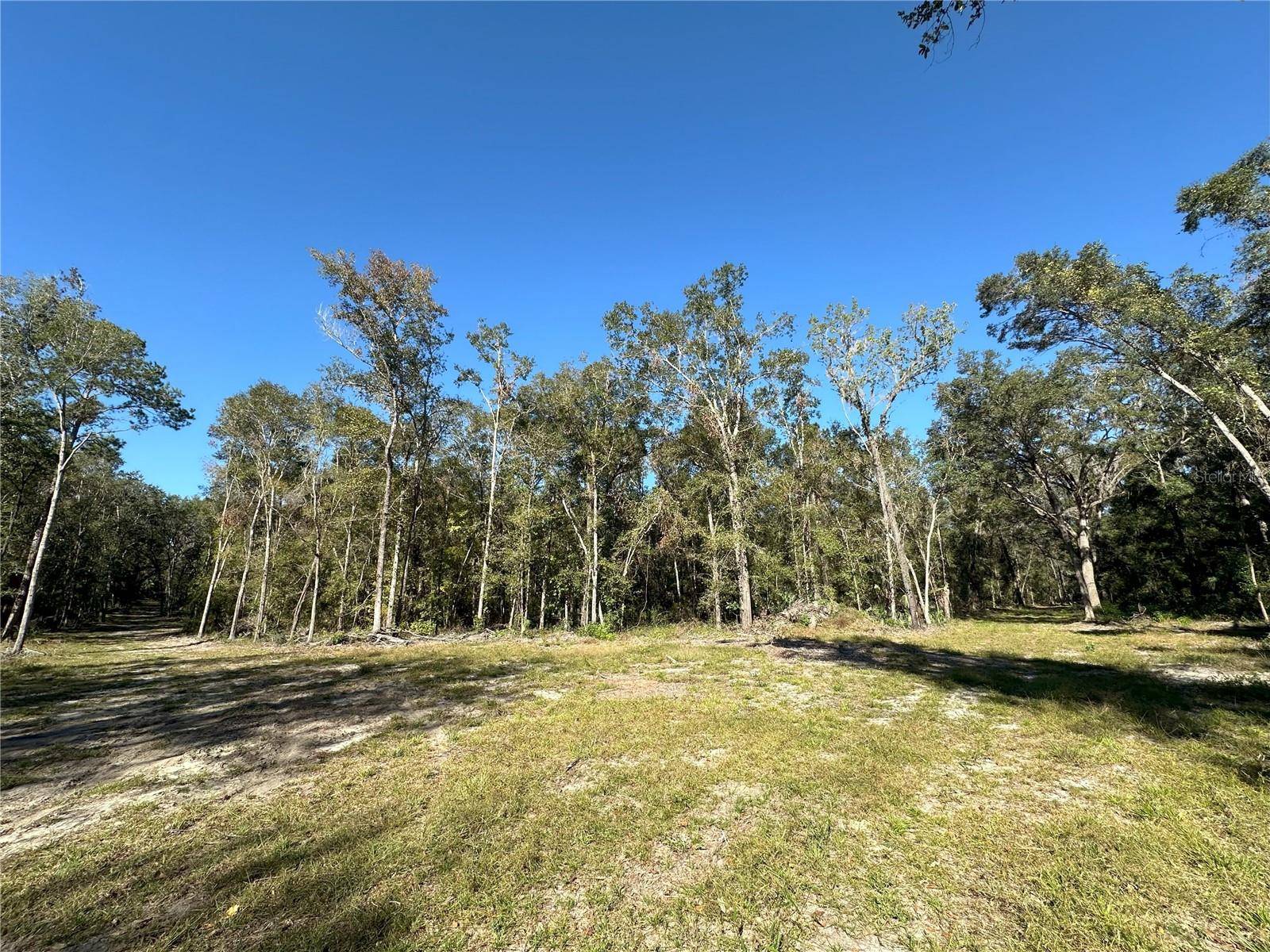 55ac W HWY 318, Reddick, FL 32686