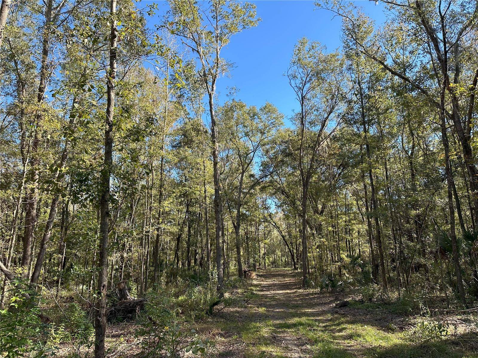 55ac W HWY 318, Reddick, FL 32686