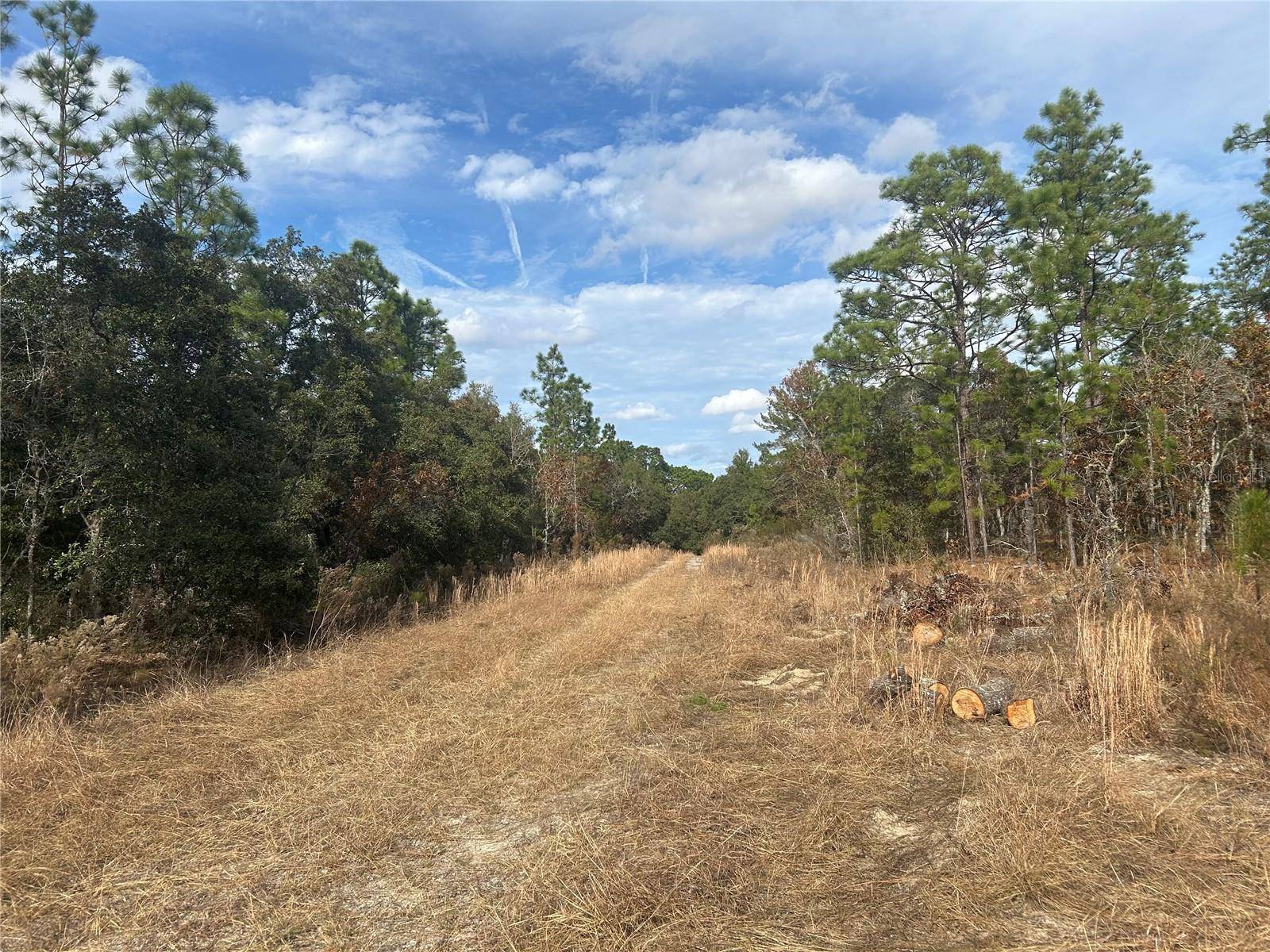 TBD NE 149TH CT, Williston, FL 32696
