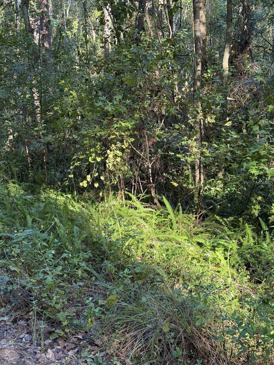 TBD SW 18TH PL, Ocala, FL 34481