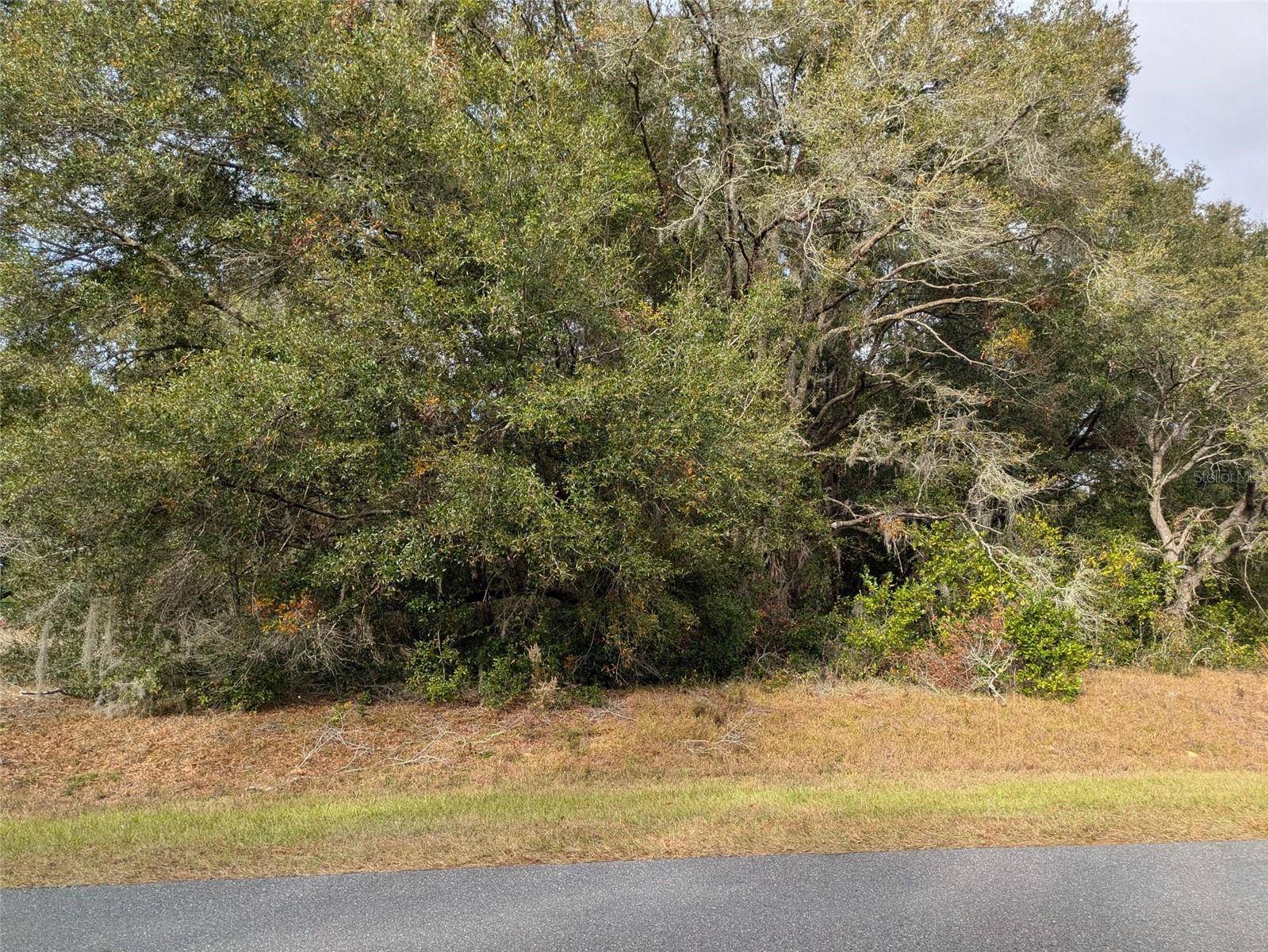 000 SW BEACH BLVD, Dunnellon, FL 34431