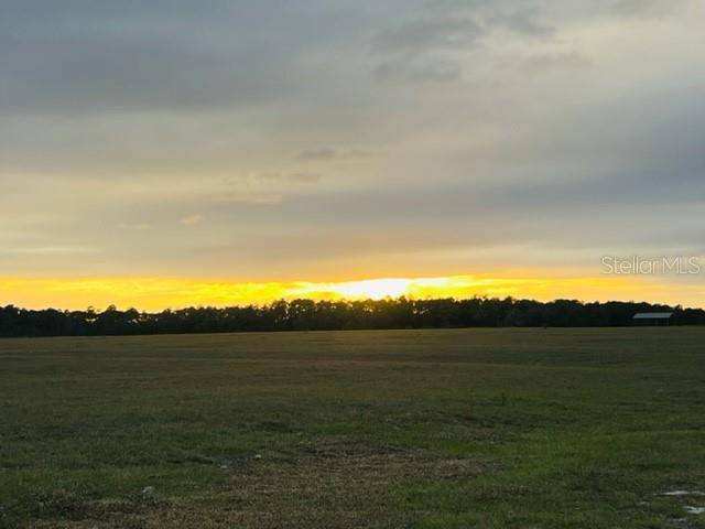 TBD SE 74TH LANE RD #8 & #9 West, Ocklawaha, FL 32179