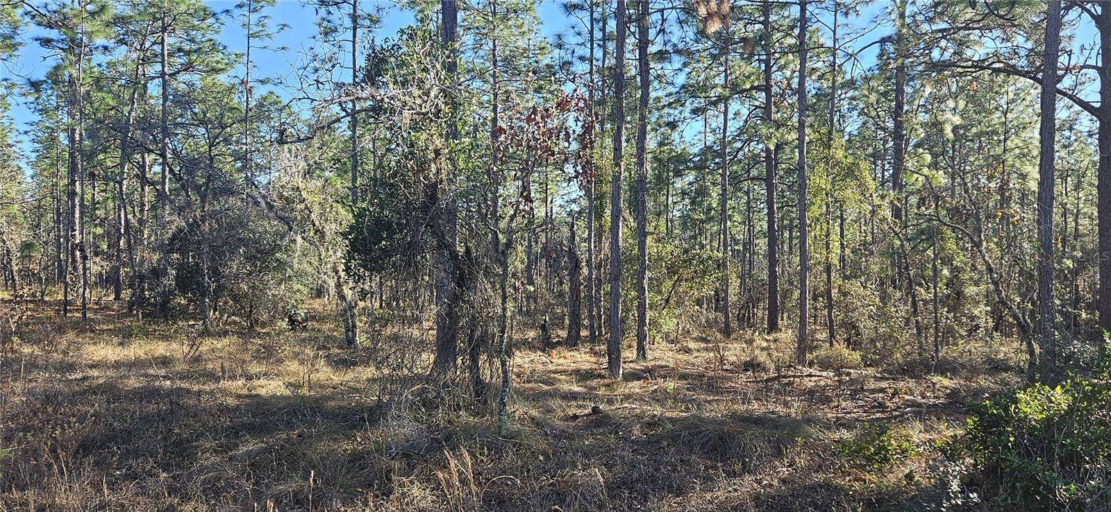 Lot 13 NW WATER OAK AVENUE, Dunnellon, FL 34431