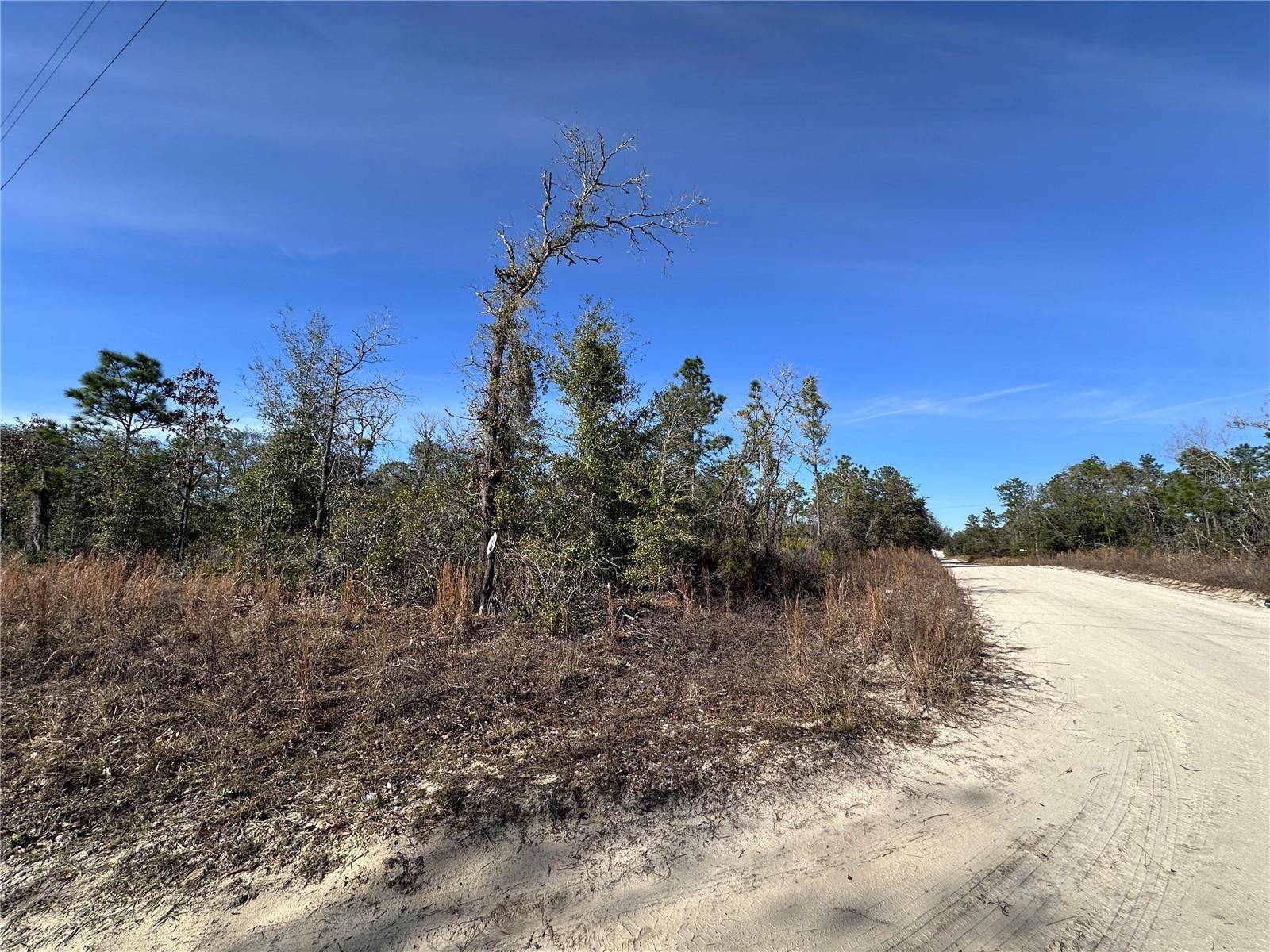 tbd NE 117TH TER, Williston, FL 32696