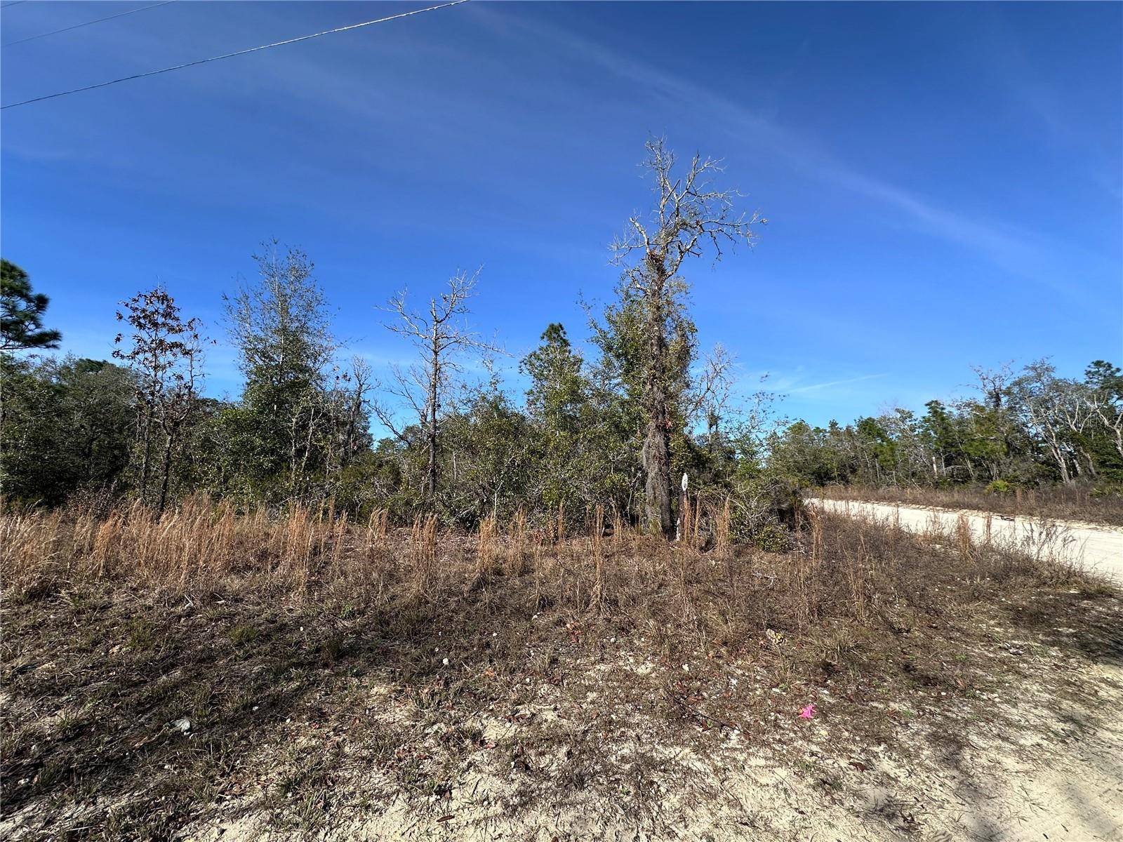 tbd NE 117TH TER, Williston, FL 32696