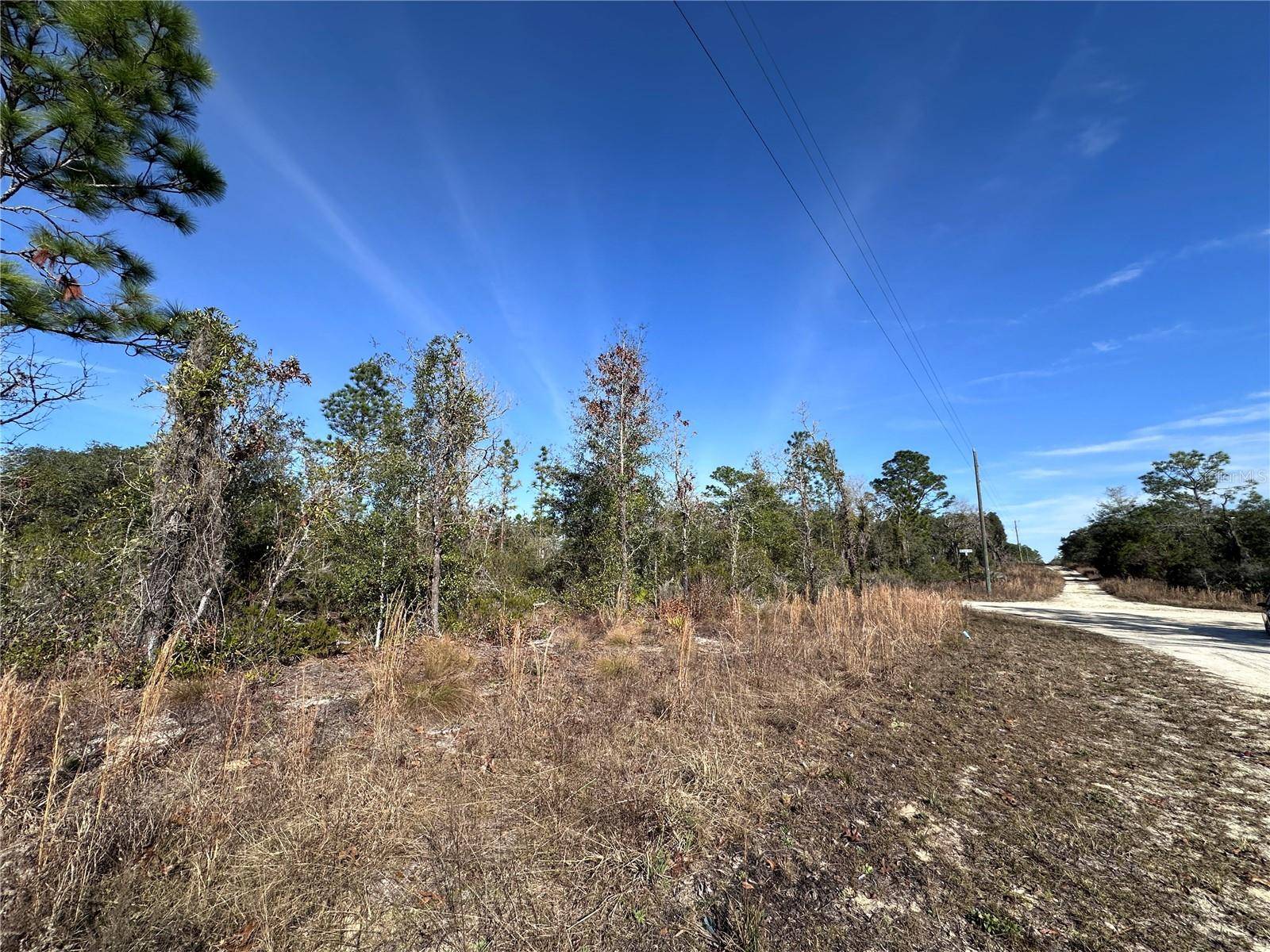tbd NE 117TH TER, Williston, FL 32696