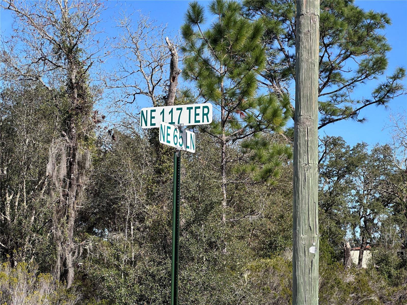 tbd NE 117TH TER, Williston, FL 32696