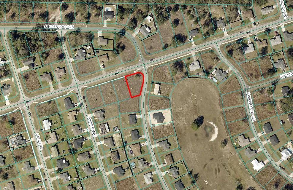 JUNIPER LOOP CIR, Ocala, FL 34472