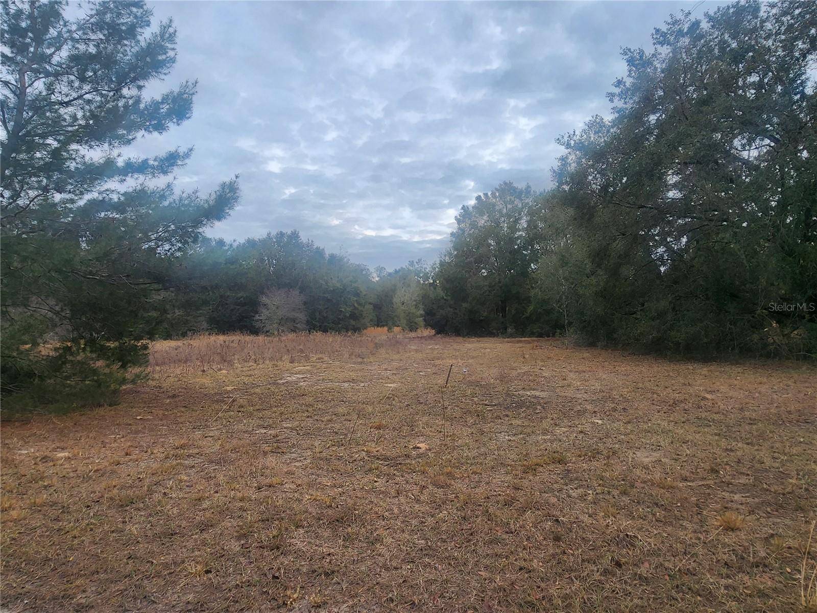 2407 JACKSON ST, Inverness, FL 34453