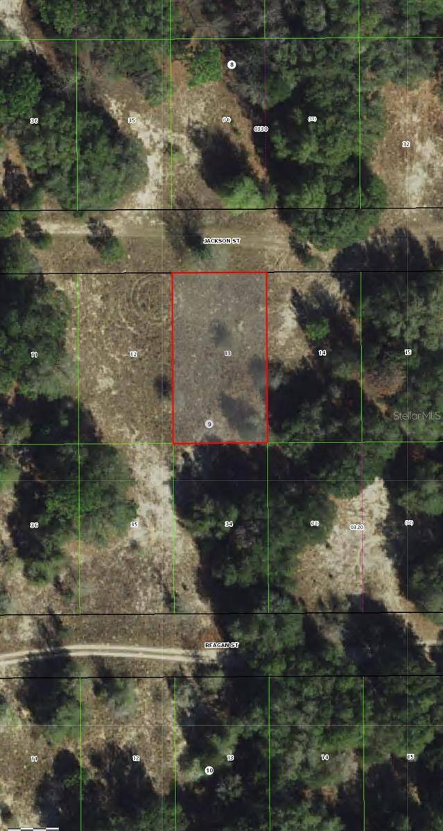 2407 JACKSON ST, Inverness, FL 34453
