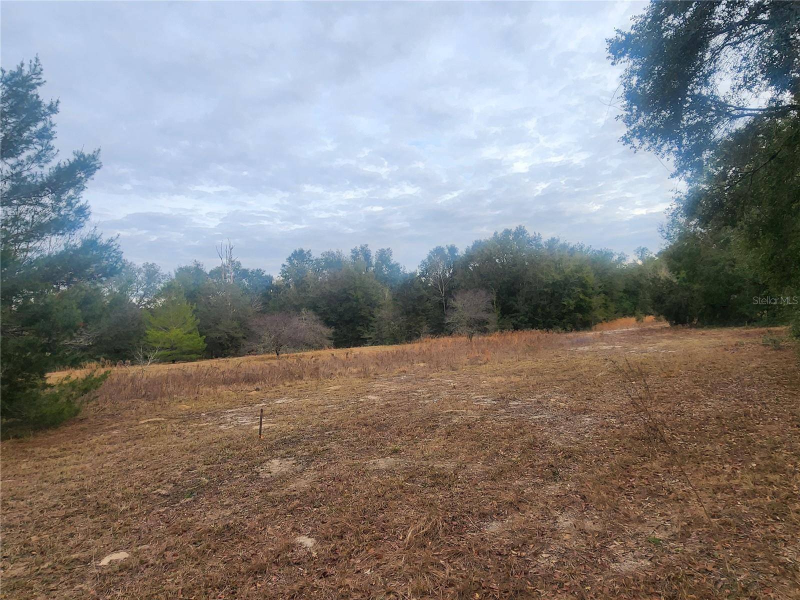 2407 JACKSON ST, Inverness, FL 34453
