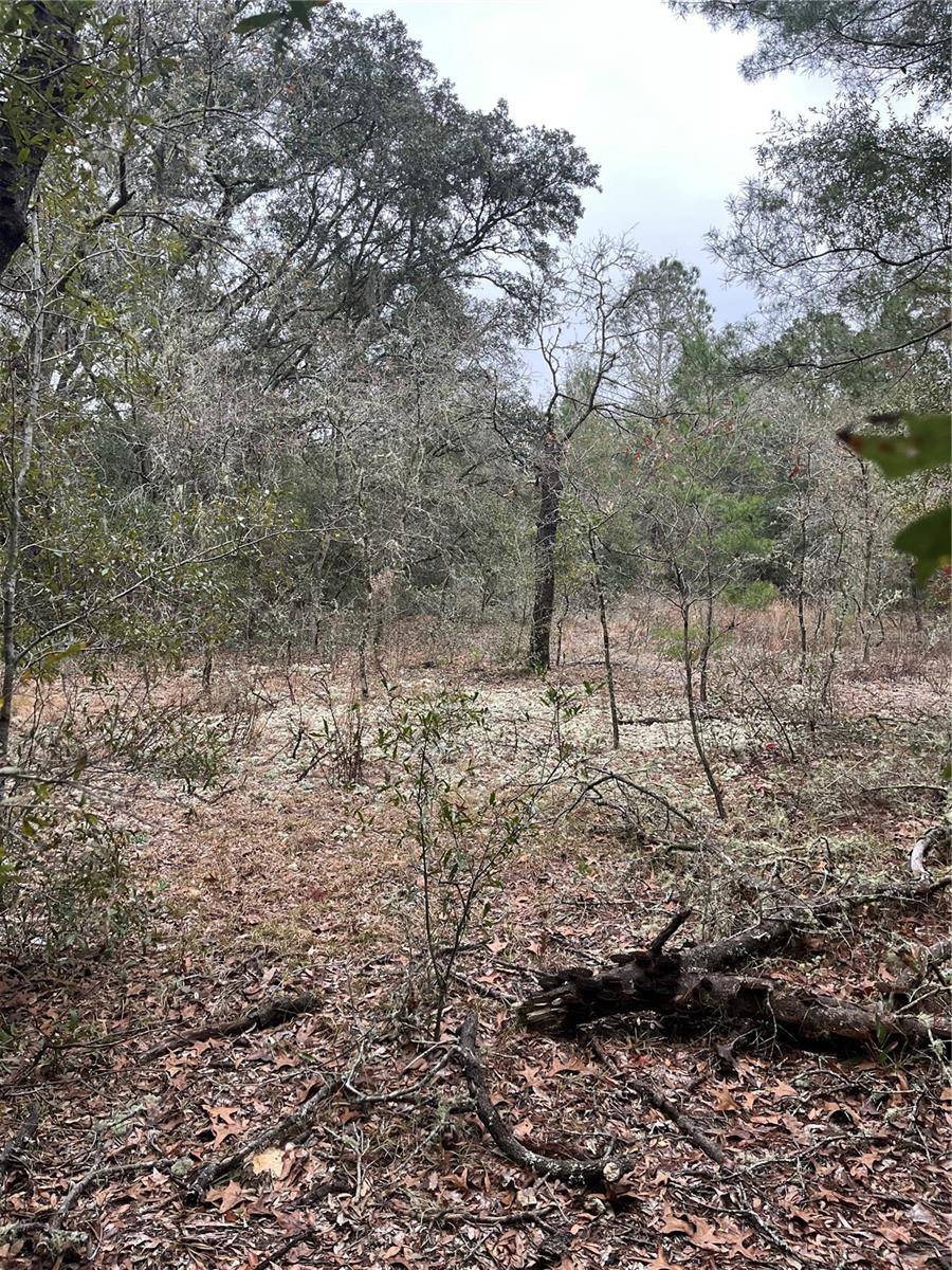Lot 36 SW MONINES CT, Dunnellon, FL 34431