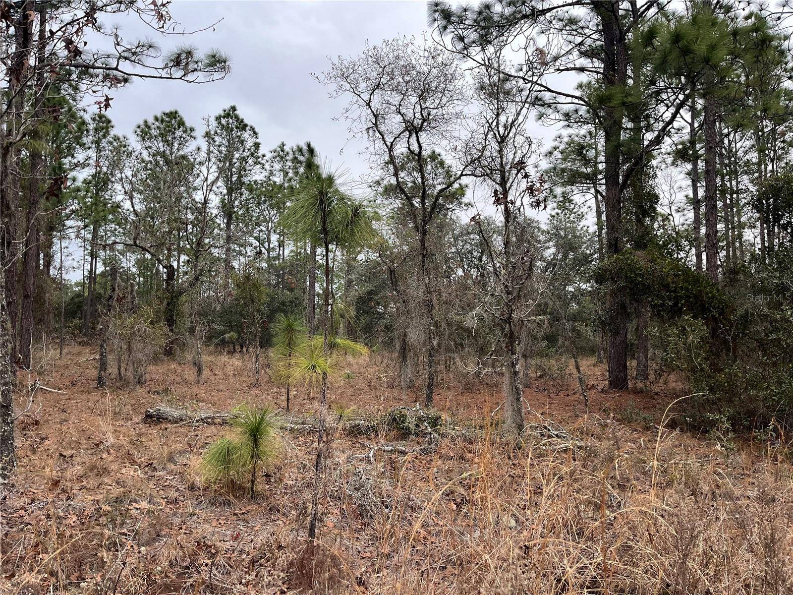 Lot 57 NW SKYLARK ST, Dunnellon, FL 34431