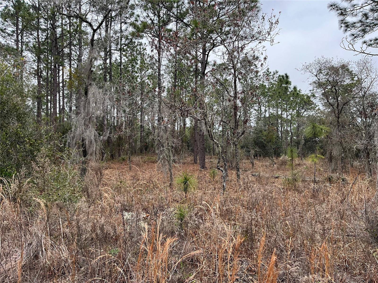 Lot 57 NW SKYLARK ST, Dunnellon, FL 34431