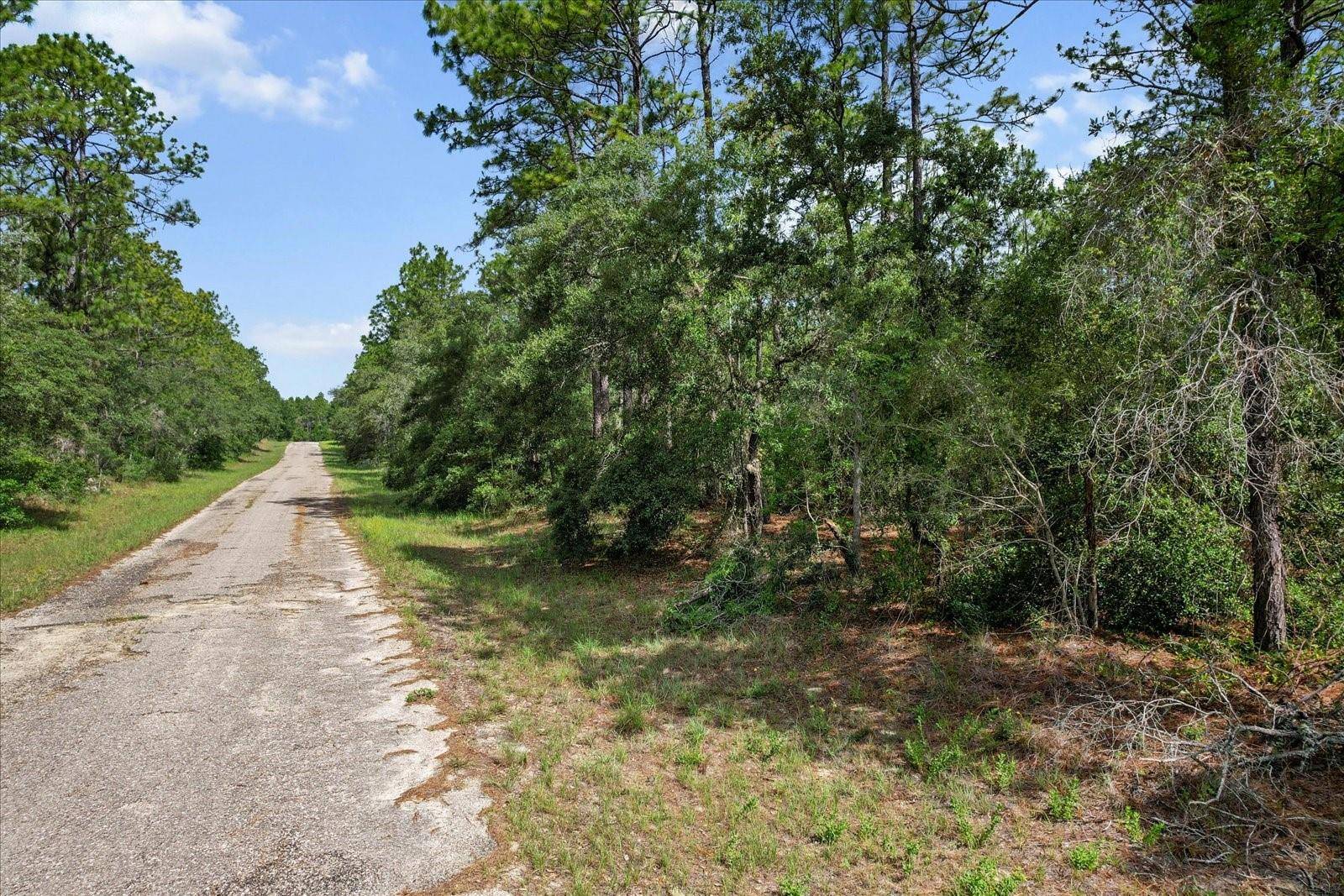 3621 W NORWICK PL, Citrus Springs, FL 34433