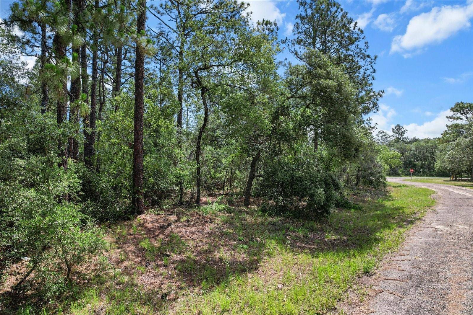 3621 W NORWICK PL, Citrus Springs, FL 34433