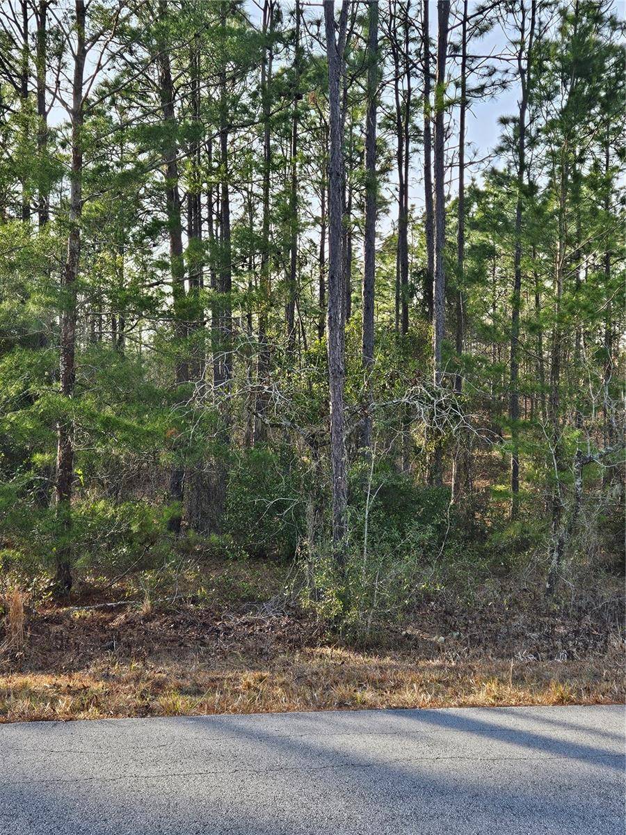 SW ADMIRAL LANDING DR., Dunnellon, FL 34431