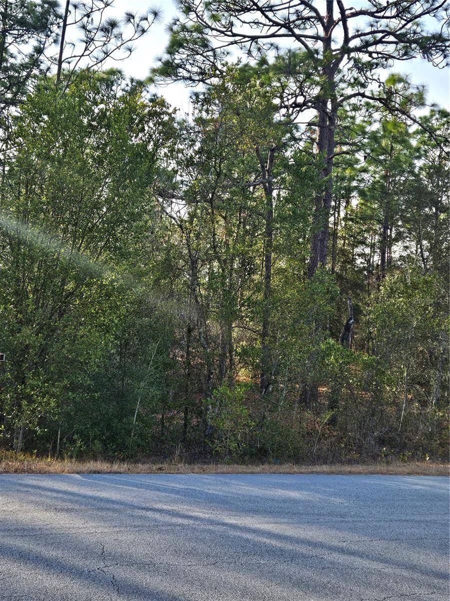 SW ADMIRAL LANDING DR., Dunnellon, FL 34431