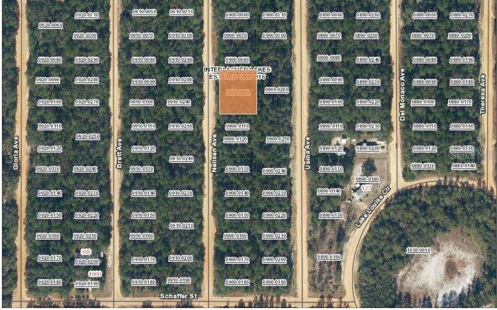 TBD NEILSEN AVE, Interlachen, FL 32148