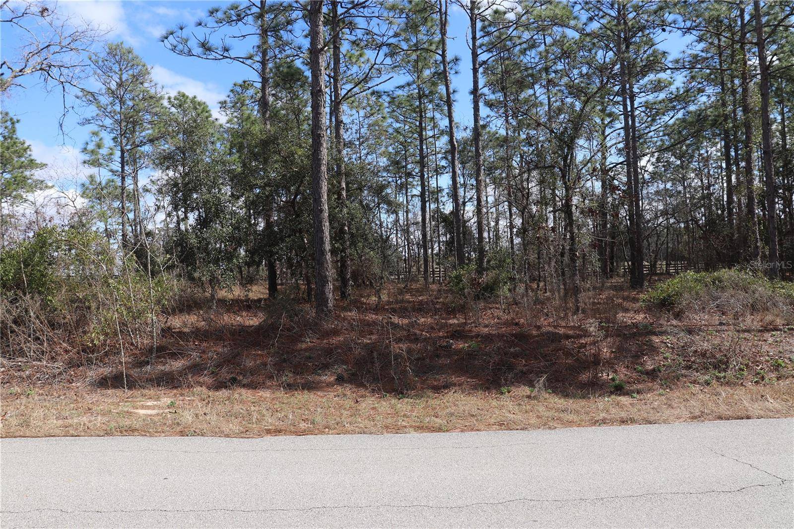 2251 NW BUENA VISTA RD, Dunnellon, FL 34431