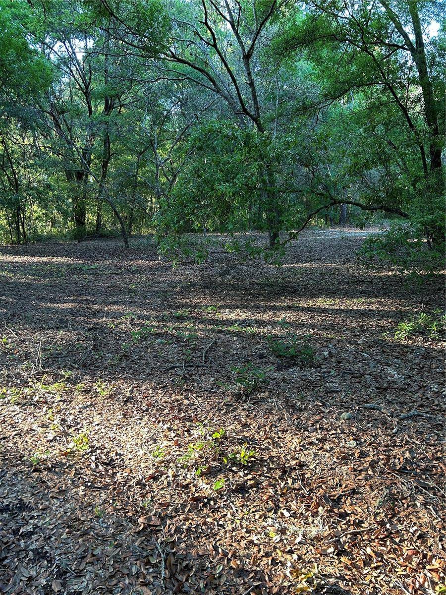 SW HWY 484, Dunnellon, FL 34432