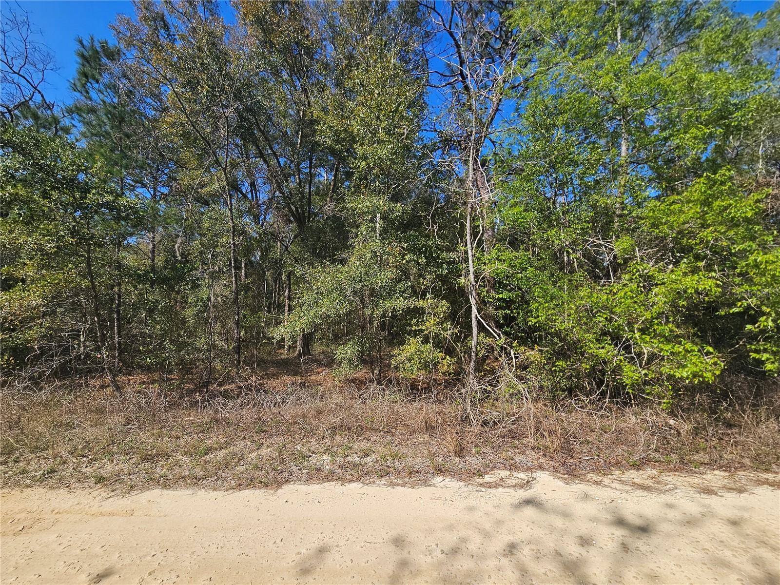 1790 NE 156TH TER, Williston, FL 32696