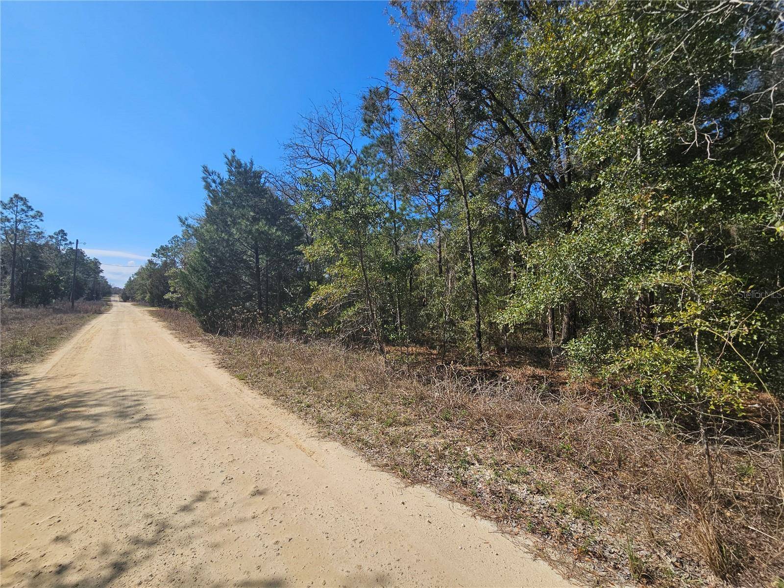 1790 NE 156TH TER, Williston, FL 32696