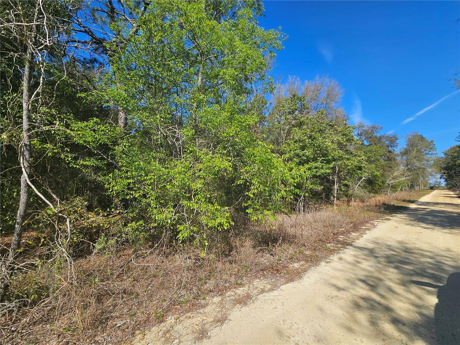1790 NE 156TH TER, Williston, FL 32696