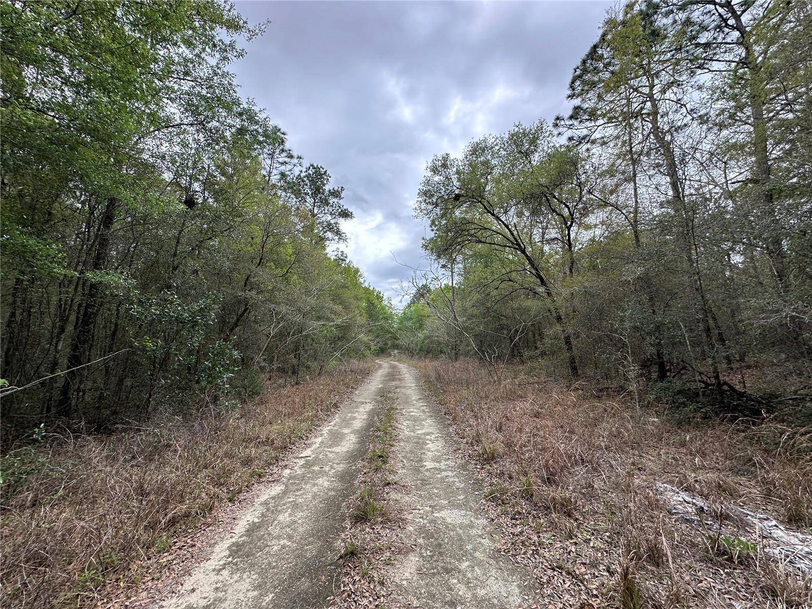 tbd NE 154TH AVE, Williston, FL 32696