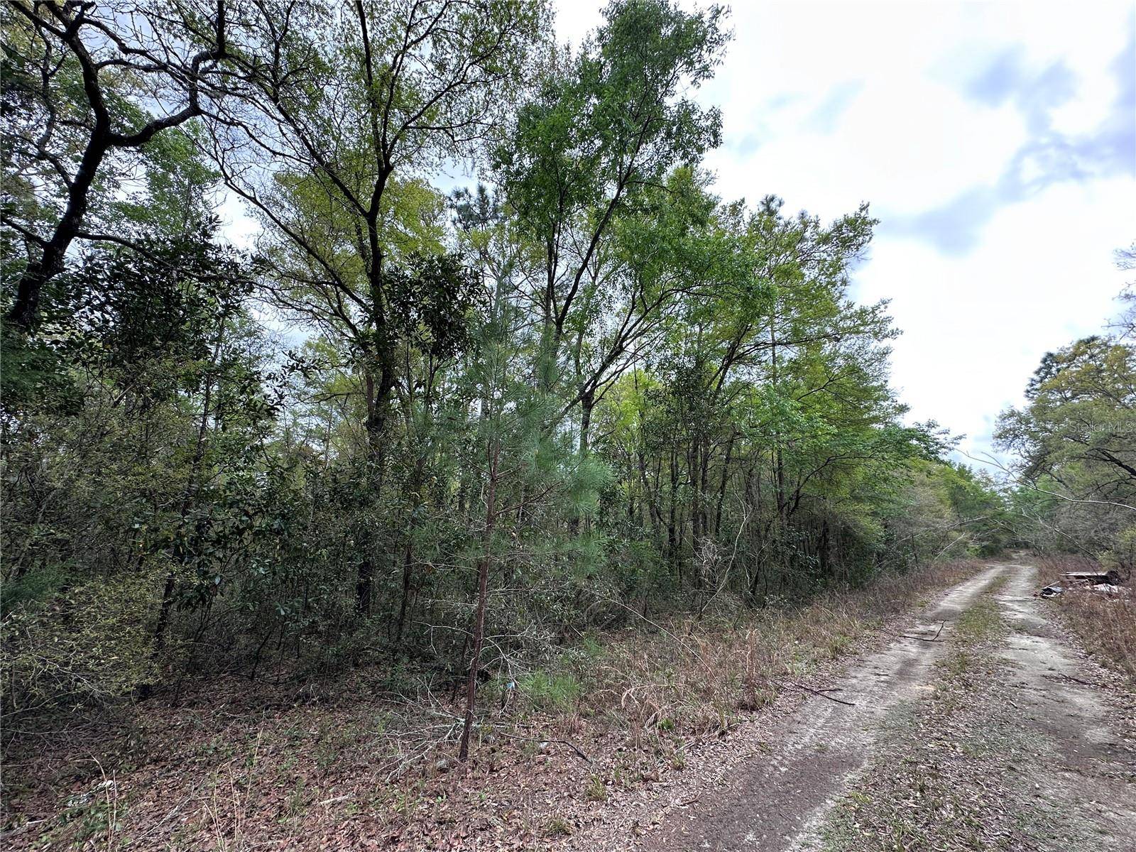 tbd NE 154TH AVE, Williston, FL 32696