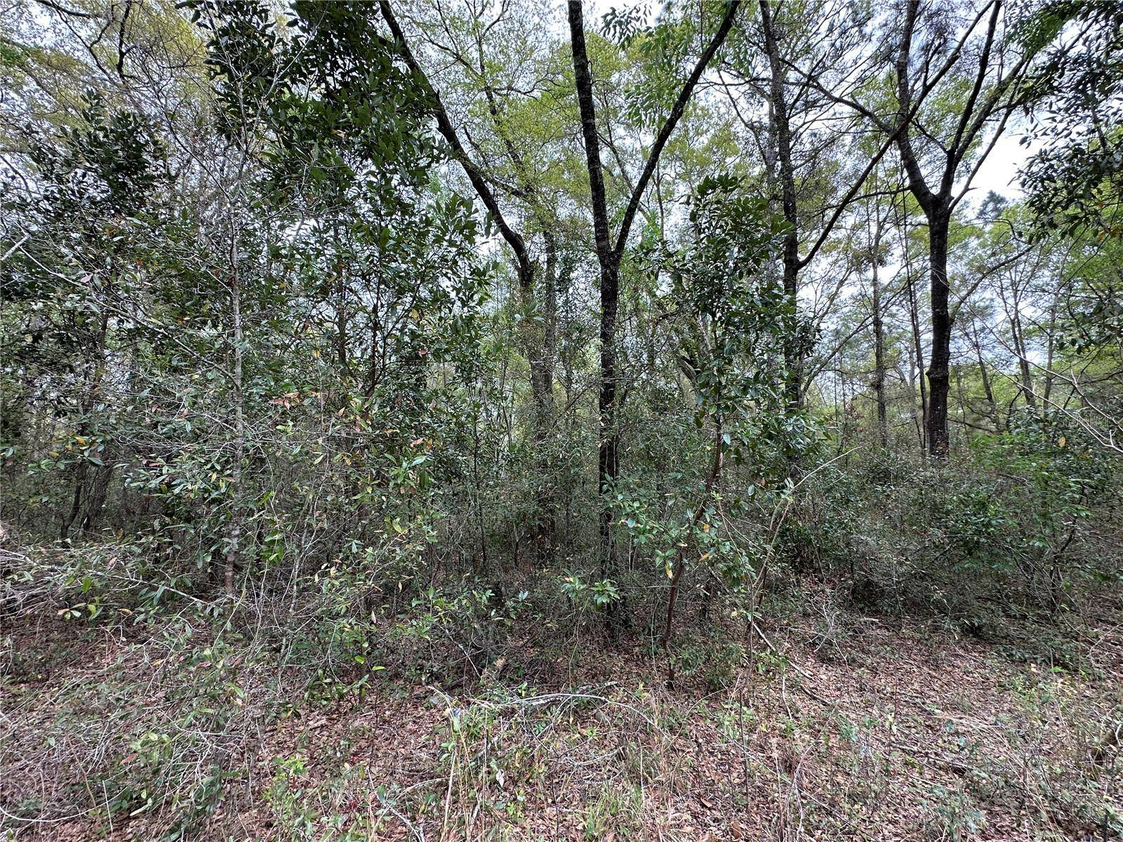 tbd NE 154TH AVE, Williston, FL 32696