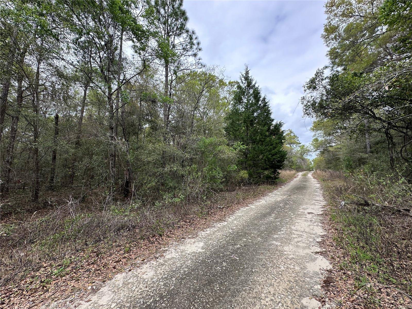 176 NE 155TH CT, Williston, FL 32696