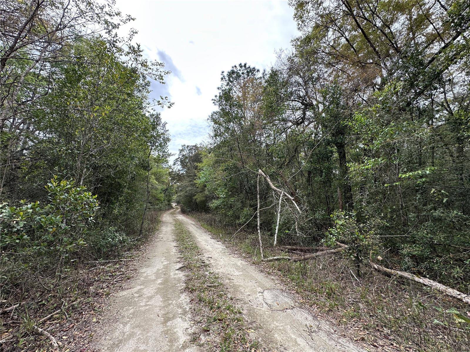 tbd NE 154TH TER, Williston, FL 32696