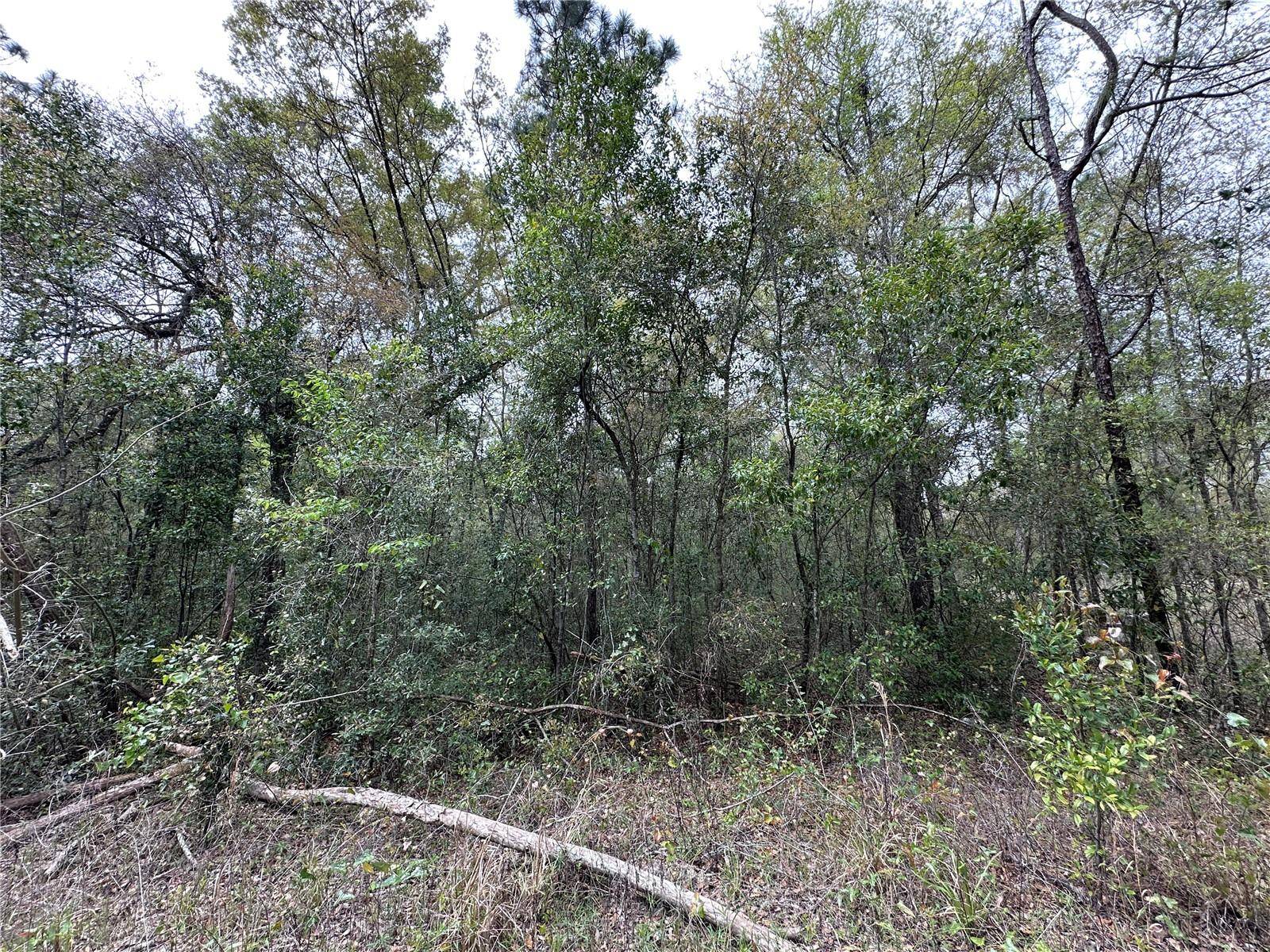 tbd NE 154TH TER, Williston, FL 32696